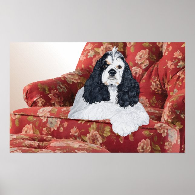 Amerikansk Cocker Spaniel i röd stol Poster (Framsidan)