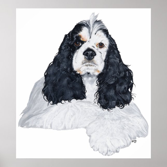 Amerikansk Cocker Spaniel Poster (Framsidan)