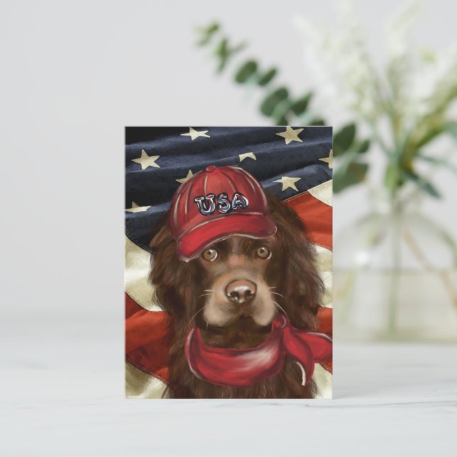 Amerikansk Cocker Spaniel  Vykort (Stående Fram)