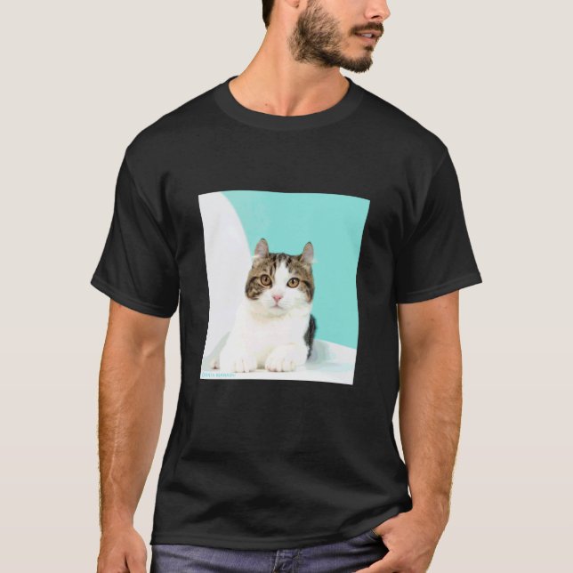 amerikansk curls katt_001 t shirt (Framsida)