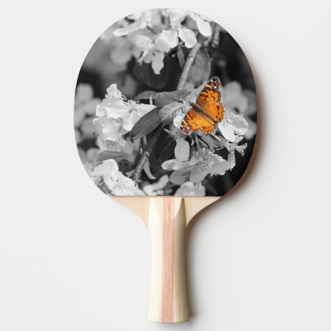 Amerikansk Dam Butterfly Ping Pong Paddle Pingisracket (Framsidan)