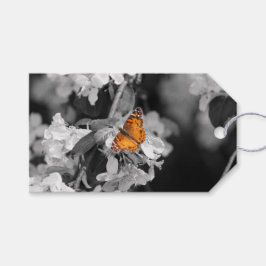 Amerikansk Dam-fjäril på Blommar Gift-Märkre Presentetikett