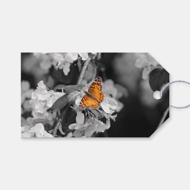 Amerikansk Dam-fjäril på Blommar Gift-Märkre Presentetikett (Framsidan (Horisontell))