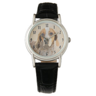Amerikansk engelsk Coonhound-målning - hundkonst Armbandsur