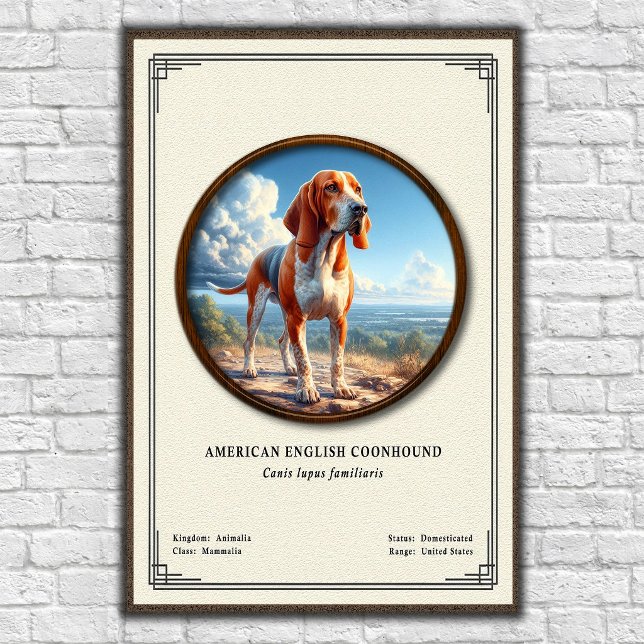 Amerikansk engelsk Coonhound Zoologi Serie Poster (Skapare uppladdad)