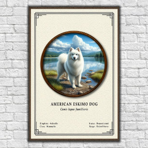 Amerikansk Eskimåhund Zoologi Serie Poster