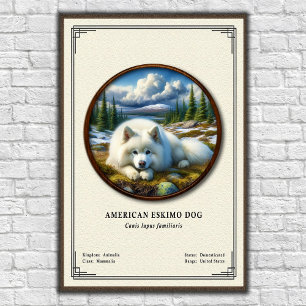 Amerikansk Eskimåhund Zoologi Serie Poster