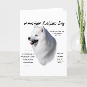Amerikansk eskimo-historik; allt om Eskies Helgkort