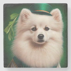 Amerikansk eskimo hund i St. Patrick's Day-dräkt Stenunderlägg