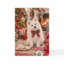 Amerikansk eskimo hund julkort