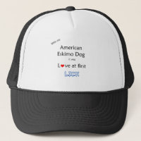 Amerikansk eskimo-Hund Slickar design