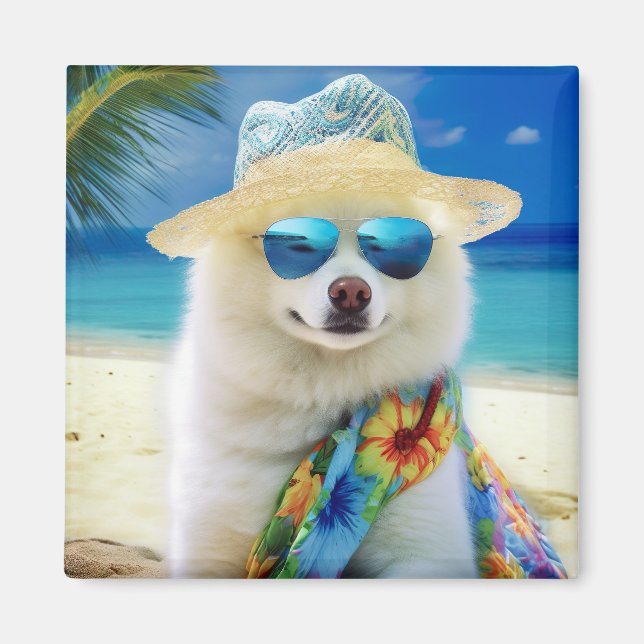 Amerikansk Eskimo på strand,sommarpresent för hund Magnet (Framsidan)
