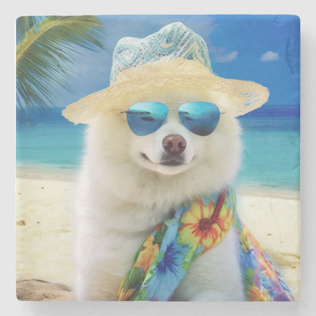 Amerikansk Eskimo på strand,sommarpresent för hund Stenunderlägg (Framsidan)