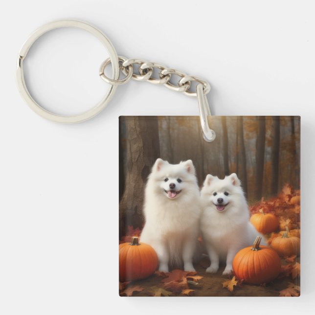 Amerikansk eskimo Puppy Autumn Delight Pumpkin (Framsidan)