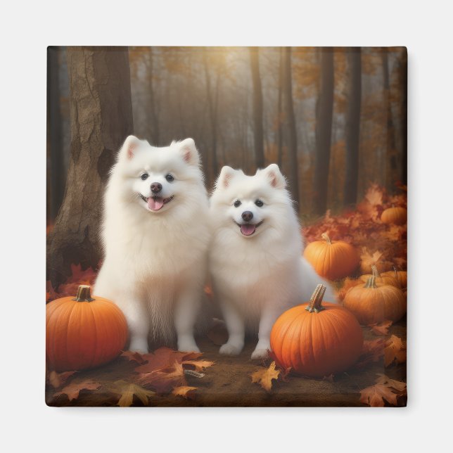 Amerikansk eskimo Puppy Autumn Delight Pumpkin Magnet (Framsidan)