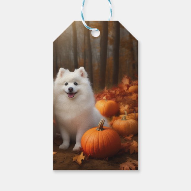 Amerikansk eskimo Puppy Autumn Delight Pumpkin Presentetikett (Framsidan)