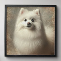 Amerikansk eskimohund