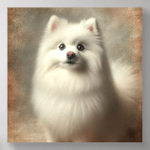 Amerikansk eskimohund