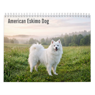 Amerikansk Eskimohund 2027 Väggkalender Kalender