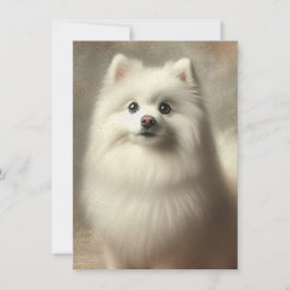 Amerikansk eskimohund kort