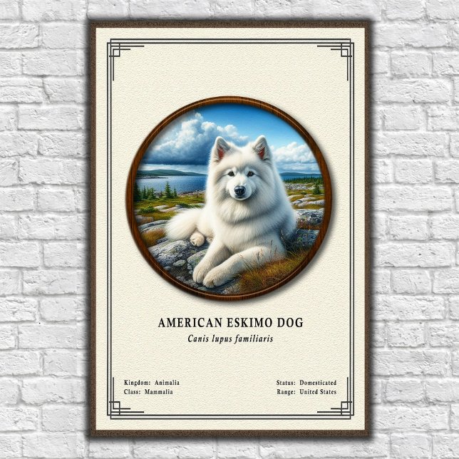 Amerikansk Eskimohund Zoologi Serie Poster (Skapare uppladdad)