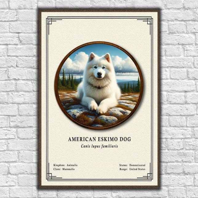 Amerikansk Eskimohund Zoologi Serie Poster (Skapare uppladdad)