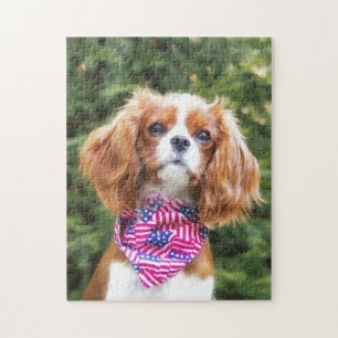 Amerikansk flagg Cavalier King Charles Spaniel Val Pussel