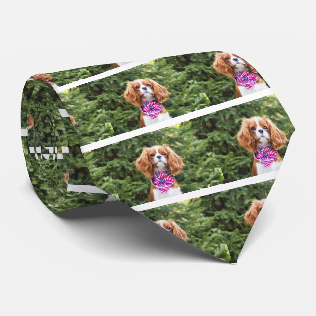 Amerikansk flagg Cavalier King Charles Spaniel Val Slips (Rullad)