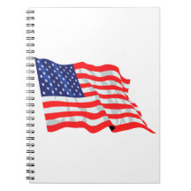 Amerikansk flagga