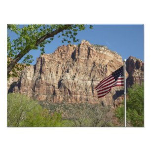 Amerikansk flagga i Zion National Park I Fototryck