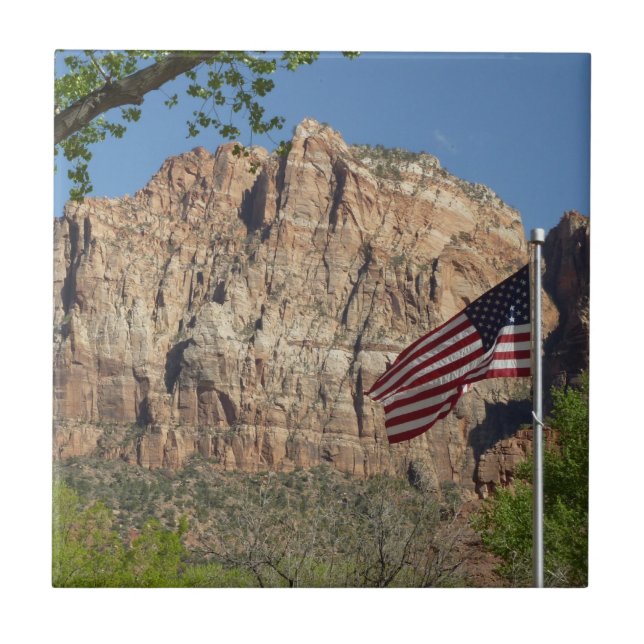 Amerikansk flagga i Zion National Park I Kakelplatta (Framsidan)