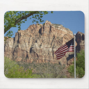 Amerikansk flagga i Zion National Park I Musmatta