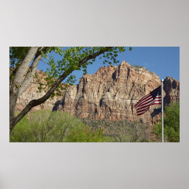 Amerikansk flagga i Zion National Park I Poster (Framsidan)