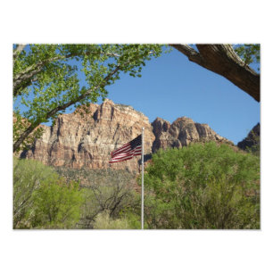 Amerikansk flagga i Zion National Park II Fototryck