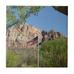 Amerikansk flagga i Zion National Park II Kakelplatta