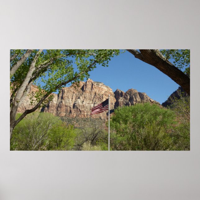 Amerikansk flagga i Zion National Park II Poster (Framsidan)