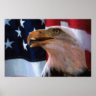 Amerikansk flagga med Örn Poster