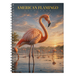 Amerikansk Flamingo Kustlagun DJUR Anteckningsbok