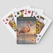 Amerikansk Flamingo Kustlagun DJUR Poker