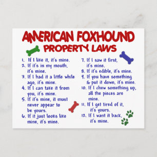 AMERIKANSK FOXHOUND Egendom-lagstiftning 2 Vykort
