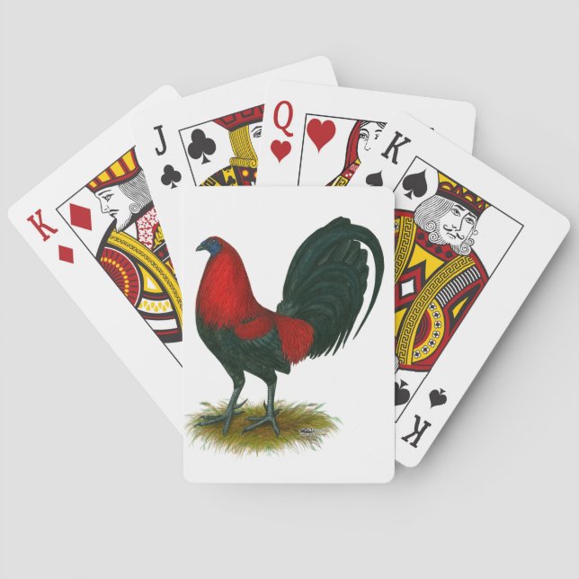 Amerikansk Gamecock:  Brunröd Casinokort (Baksidan)