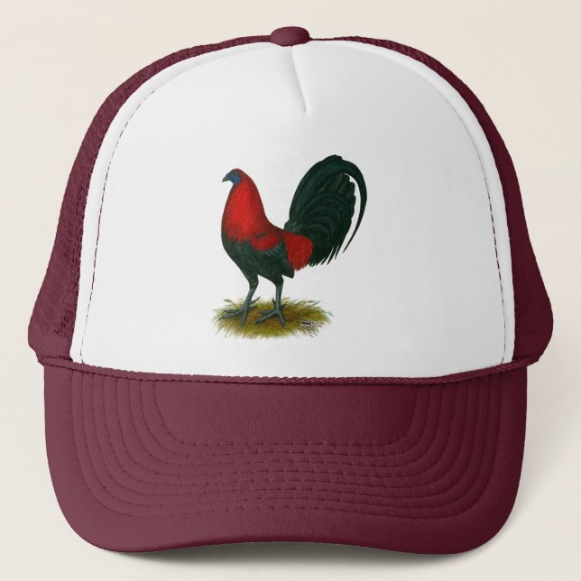 Amerikansk Gamecock:  Brunröd Keps (Framsida)