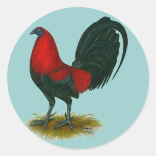 Amerikansk Gamecock: Brunröd Runt Klistermärke
