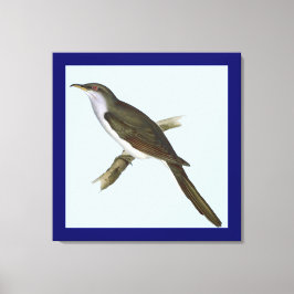 Amerikansk gökfågel Canvas Print