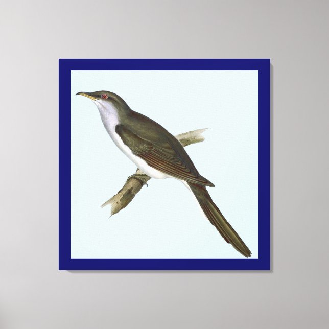 Amerikansk gökfågel Canvas Print (Framsida)