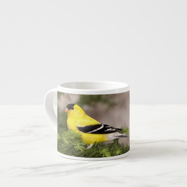 Amerikansk Goldfinch-man i träd Espressomugg (Framsida vänster)