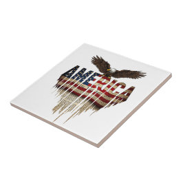 Amerikansk grunge flagga och örn kakelplatta