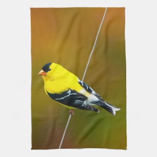 Amerikansk Guldfink - Originalfotografi Kökshandduk