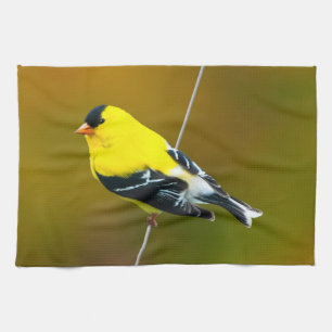 Amerikansk Guldfink - Originalfotografi Kökshandduk