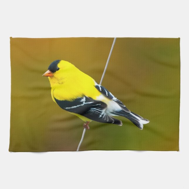 Amerikansk Guldfink - Originalfotografi Kökshandduk (Horisontell)